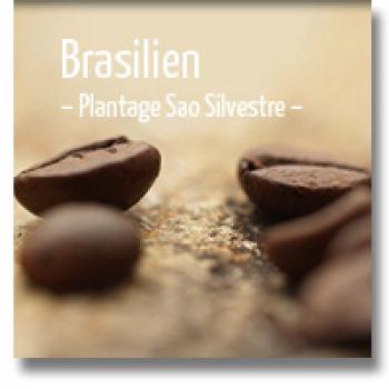 delMocca Kaffeer&ouml;sterei BRASILIEN Plantage Sao Silvestre