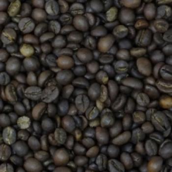 Elephant Beans Coffee `Wayanad Kaapi` Indian Robusta Espresso