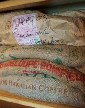 Gebrand Guadeloupe Arabica, Domaine de Vanibel, Bonifieur