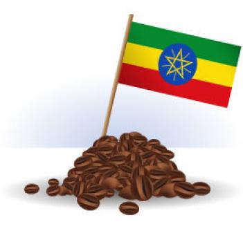 R&ouml;sterei Fuchs &Auml;thiopien `Sidamo`