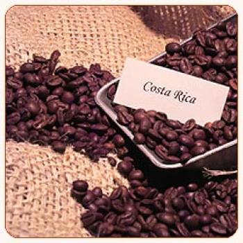 Rösterei Kaffeekultur Costa Rica Tarrazú Dota