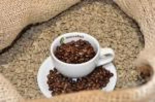 R&ouml;sterei Moccafair Moccafair Vainilla Bio