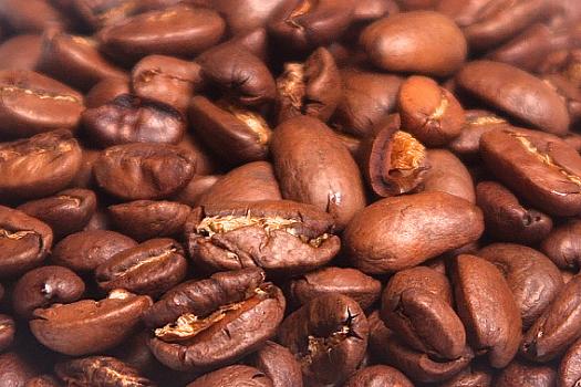 Tee Bakker Mexico Maragogype