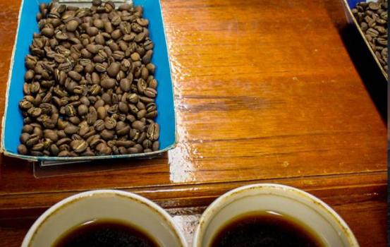 Wildkaffee Äthiopien Yirgacheffe Kochere