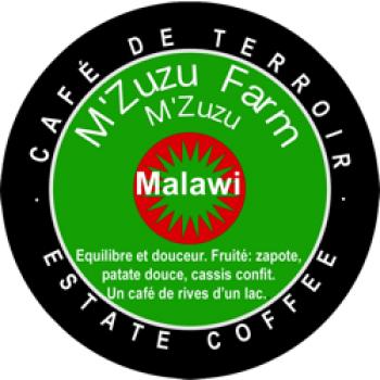 World´s Best Coffee M’zuzu Farm, M’zuzu, Malawi