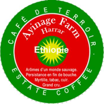 World´s Best Coffee Ayinage Farm — Harrar — Ethiopie