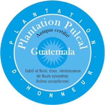 World´s Best Coffee Plantation Pulcal. Antigua Certifié. Guatemala